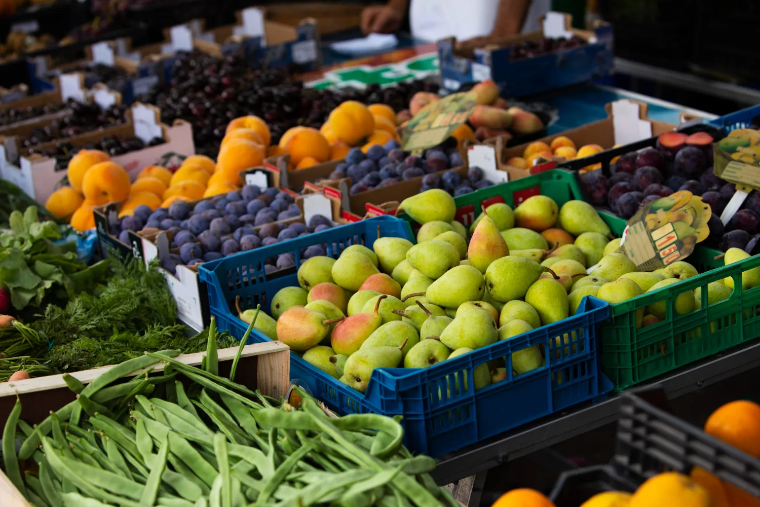 Banchi di frutta e verdura fresca del negozio Ambrosi di Bovolone